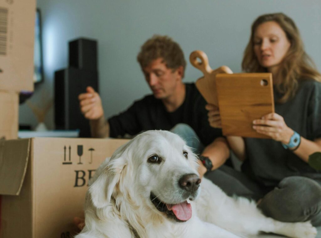PeT travelling to New Zealand