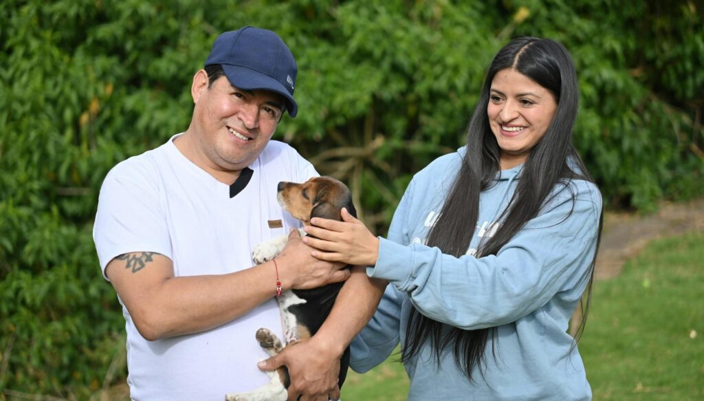 PeT travelling to New Zealand